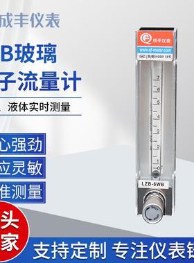 仪表厂家供应流量计测量小流量LZB-6WB气体玻璃管浮子流量计