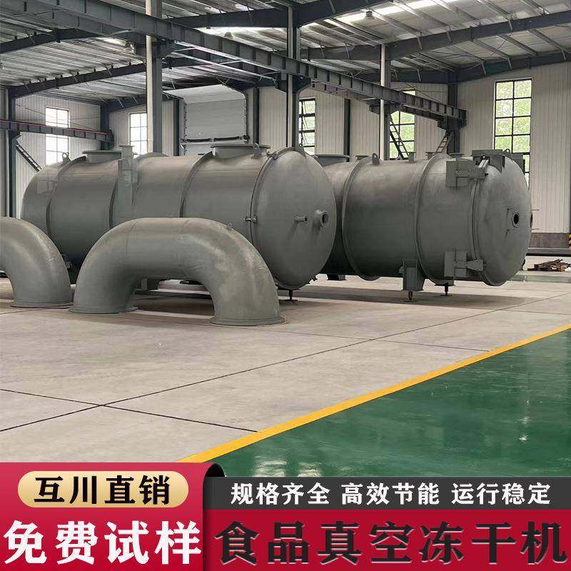 商用低温脱水设备苹果片自动化真空冷冻干燥机香蕉真空冻干机