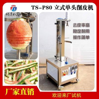 电动瓜果削皮机密瓜菠萝去皮机南瓜冬瓜削皮机单头电动削皮机