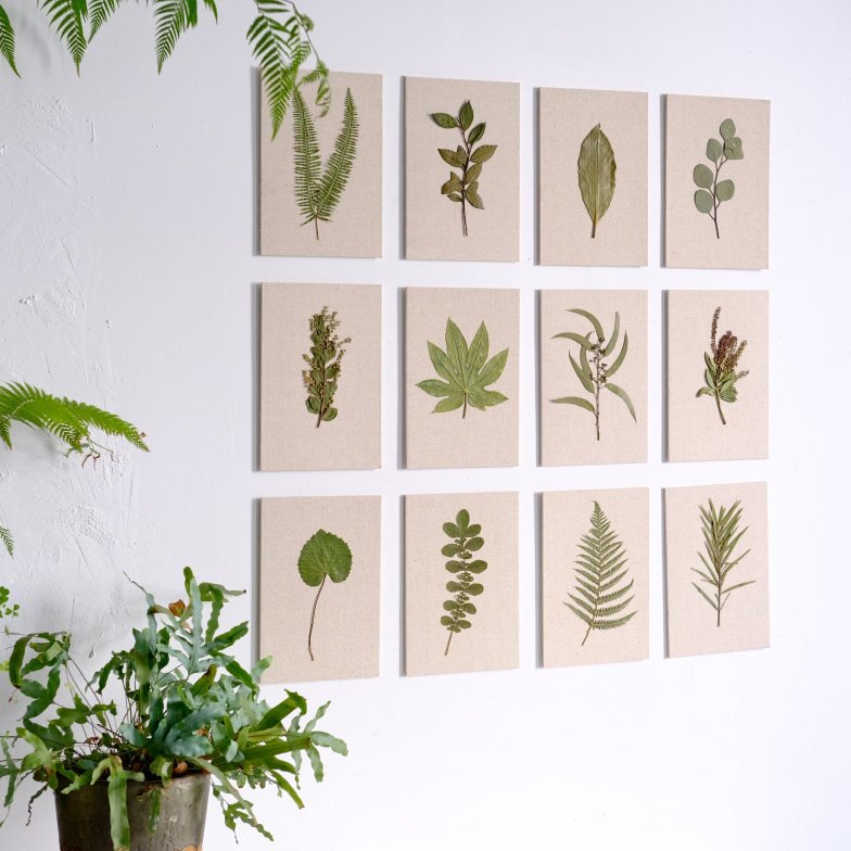 棉麻植物标本照片墙背景墙影棚道具家居软装干花植物相框森系中古