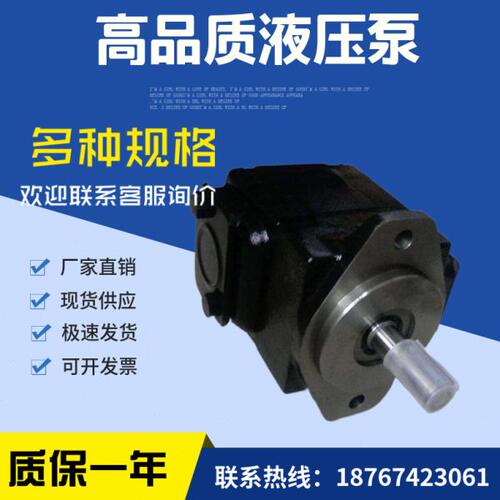 DENISON叶片泵T6D-014-1R00-C1丹尼逊油泵T6D-014-2R00-C1