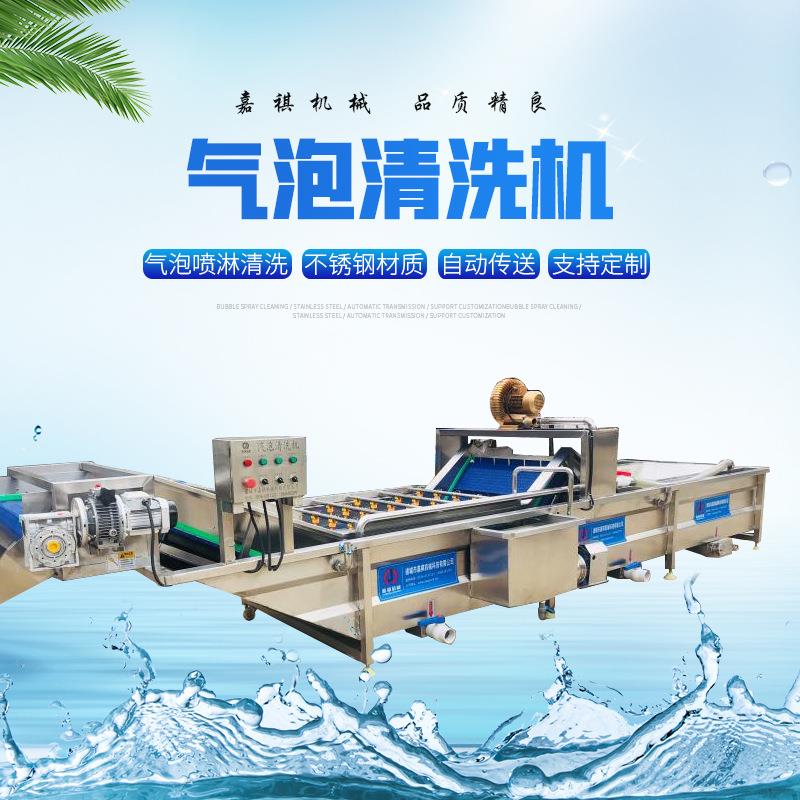 全自动小龙虾翻浪水洗设备不锈钢果蔬气泡清洗机高压喷淋净菜机