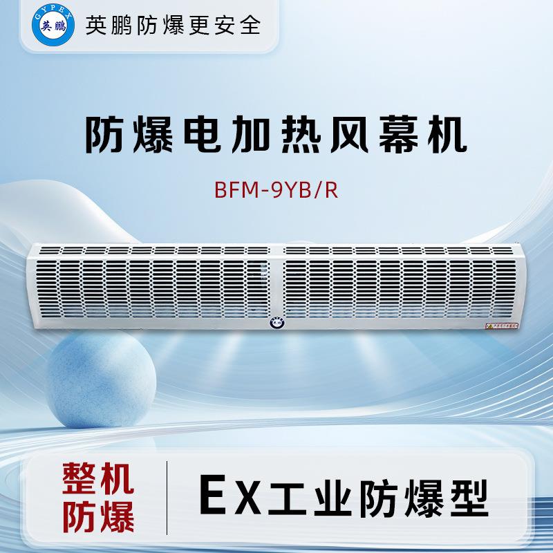 防爆电热风幕机BFM-9YB/R工业风幕机电加热风厂房车间等适用