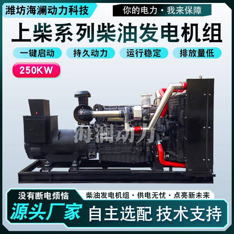 山东厂家供应250kw柴油发电机组宴会厅应急供电柴油发电机组