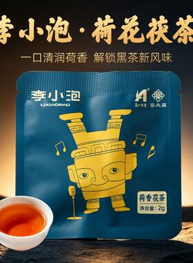 云天阁李小泡荷香茯茶安化黑茶独立小袋金花茯砖荷叶袋泡茶叶 2g