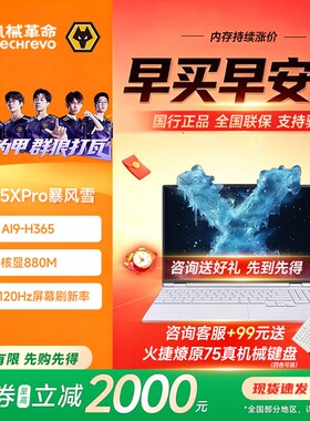 机械革命新款 无界15XPro/14X暴风雪轻薄商务学生办公笔记本电脑