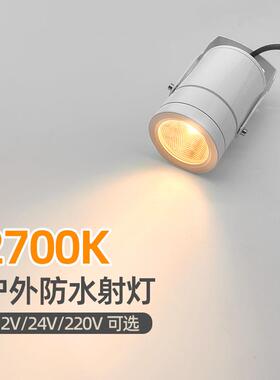 2700K插泥照树灯户外射树灯12V户外灯庭院灯景观灯白色广告招牌灯