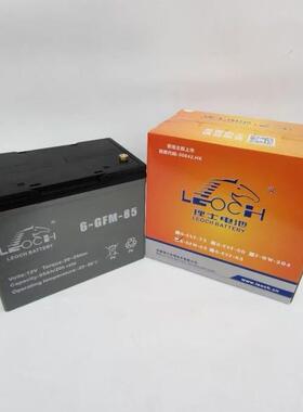 理士动力电池6-EVF-70/8512V70AH12V75AH叉车电池代步车蓄电
