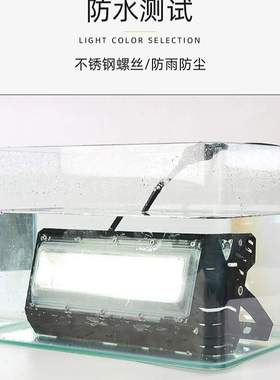 12V24000K低压工程船室外超亮防水广告隧道泛光投光灯工地球场灯