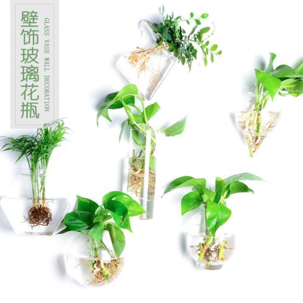 壁挂花瓶玻璃创意客厅墙壁装饰透明简约水培插花墙上绿萝植物花盆