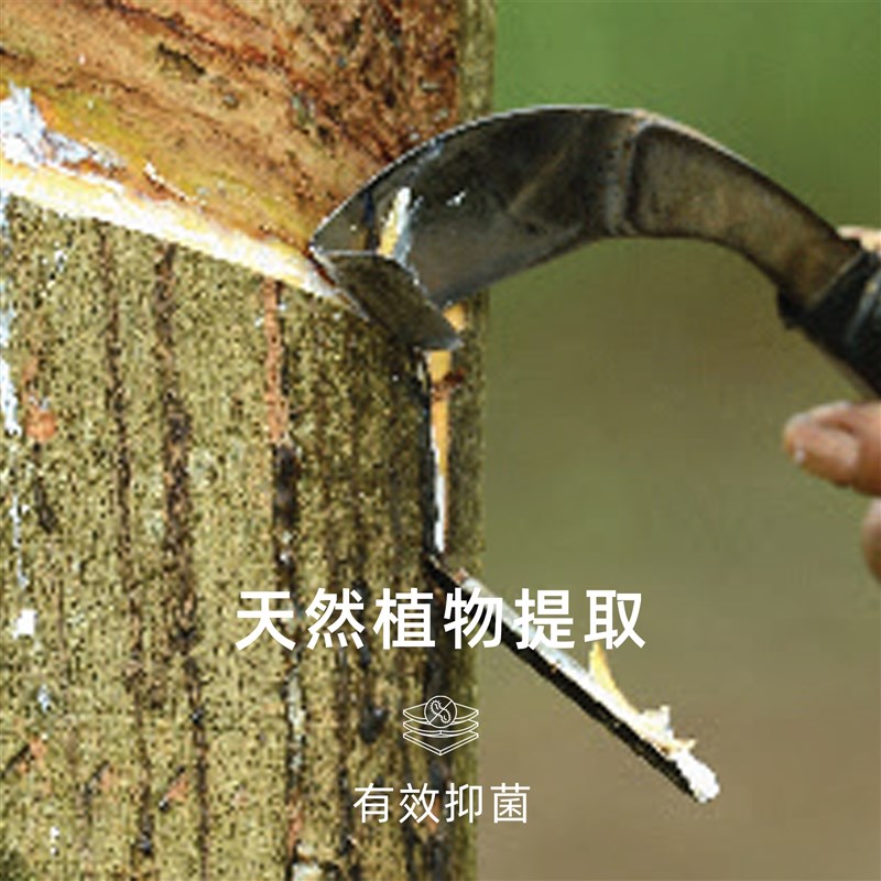 偶得泰国天然乳胶枕 A类95%含量 承托颈椎 透气舒适 高/低枕芯