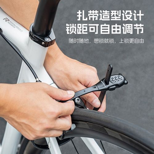 洛克兄弟扎带锁自行车摩托车头盔锁电动车箱包滑板防盗便携密码锁