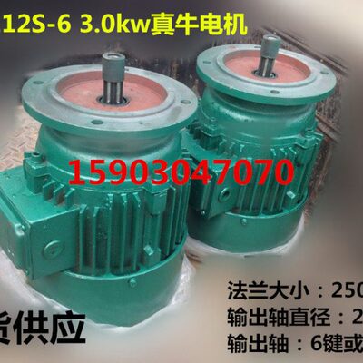 YEZ112S-6 3.0KW架桥机电机锥形转子三相异步电动机 真牛电机