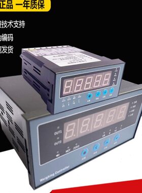 力值显示控制仪/数字仪表WE500-AH称重测力仪表2路继电器WE500-CH