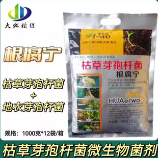 枯草芽孢杆菌地衣芽孢杆菌 根腐宁 根腐病立枯病烂根根肿土壤病害