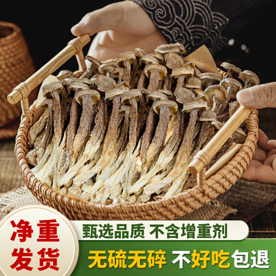 高山鹿茸菇无硫干货鲜美炒营养