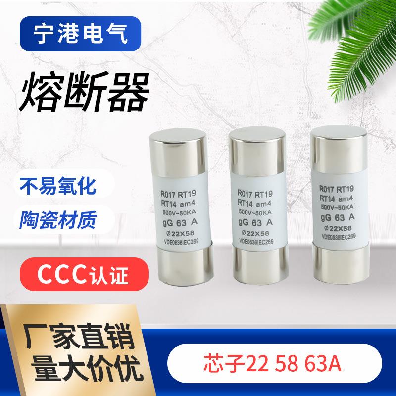 宁港现货供应陶瓷材质保险丝电流保险丝管22/58/63A熔芯熔断器