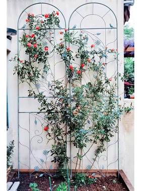 新品铁艺爬藤架子复古做旧花支架庭院植物玫瑰月季铁线莲爬藤花架