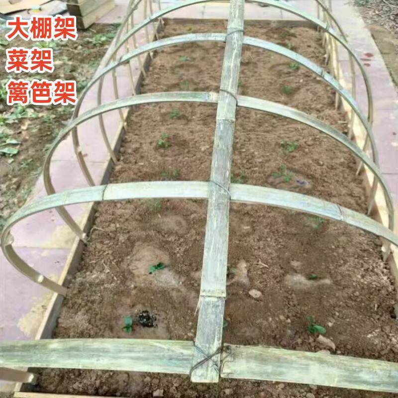 大棚支架拱杆竹子片竹条植物搭架过冬拱棚温室蔬菜农用篱笆毛竹