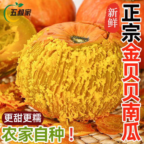 金贝贝南瓜正宗板栗味新鲜蒸煮粉糯香甜婴儿宝宝辅食红皮小南瓜