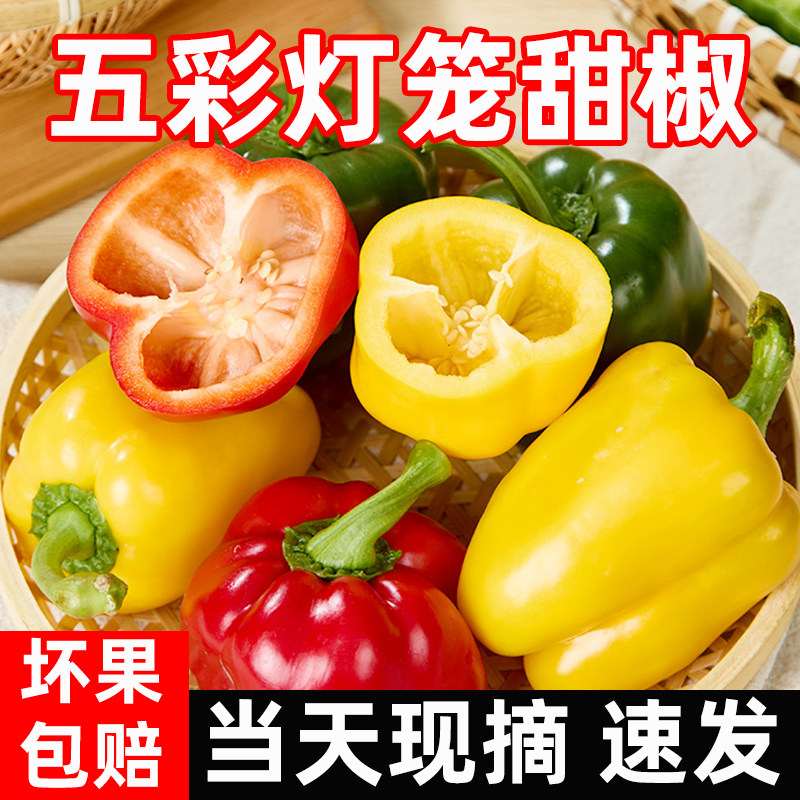 新鲜水果彩椒生吃七彩辣椒灯笼甜椒寿光蔬菜青小米圆辣椒蔬菜包邮,水产肉类/新鲜蔬果/熟食,辣椒,淘宝优惠券,粉丝福利购,淘宝优惠卷