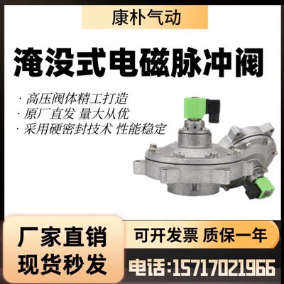 袋式型淹没电磁脉冲阀DMF-Y-76S 25 40 50 62 76 102SA DN80气动