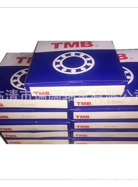 天马 1021EM 1022 1024  1026  1028 X圆柱滚子轴承