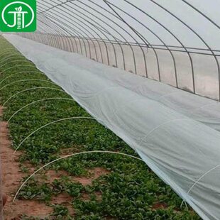 大棚骨架玻璃纤维小拱棚实心杆塑料养殖菜棚网支架杆配件暖棚保温