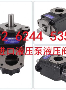 DENISON 丹尼逊 T6C 020/022/025/028 1R00/1R01/1R02/1R03 A1/B1