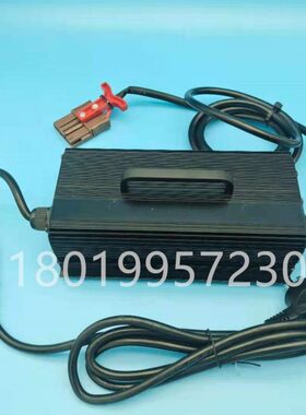 杭州杭叉电动叉车搬运车充电机充电器48V10A AIMB200-741000-A00