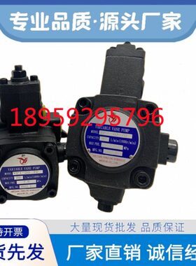 VP2-30 40-35 55 70仙居YLC永灵叶片油泵VP1-8 12 15 20-35 55 70