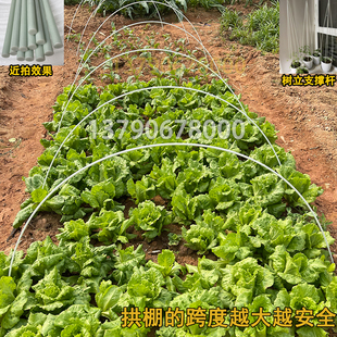 6mm玻璃钢弹力棒菜棚支架保温棚花棚拱顶地拱杆 玻璃纤维杆
