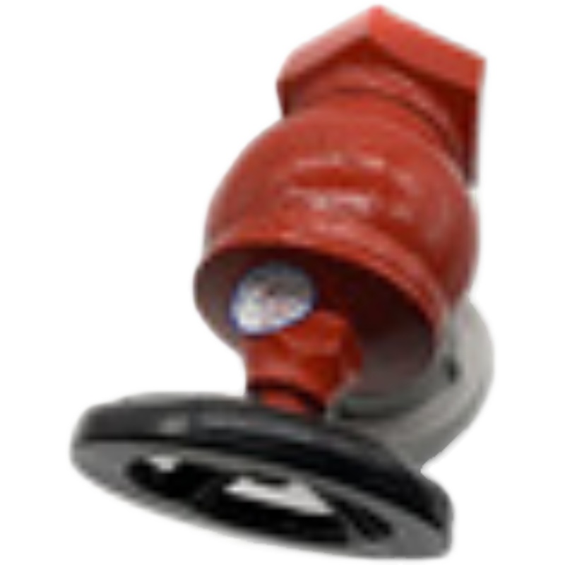 室内消火栓水带消防箱阀门水带阀门DN65消火栓sn65水龙头栓钢卡箍