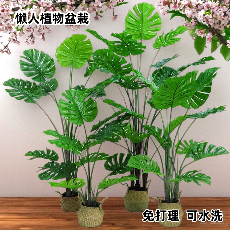 仿真盆景假植物落地带盆滴水观音餐桌摆室内客厅装饰绿植摆件盆栽