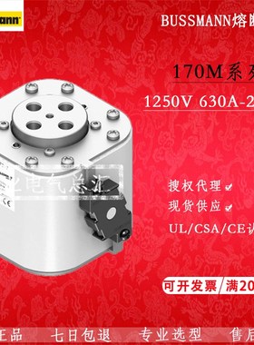 巴斯曼170M6789 170M6790 170M6791 170M6792 170M6793熔断器