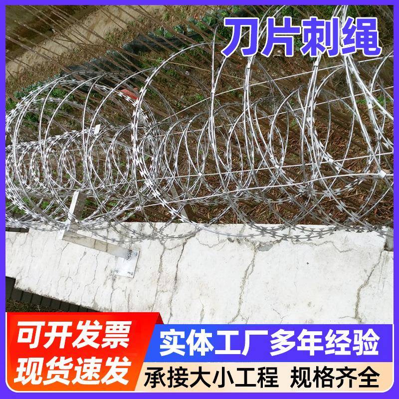 刀片刺绳防爬刀刺网学校围墙围网刺丝滚笼热镀锌包塑刺绳网