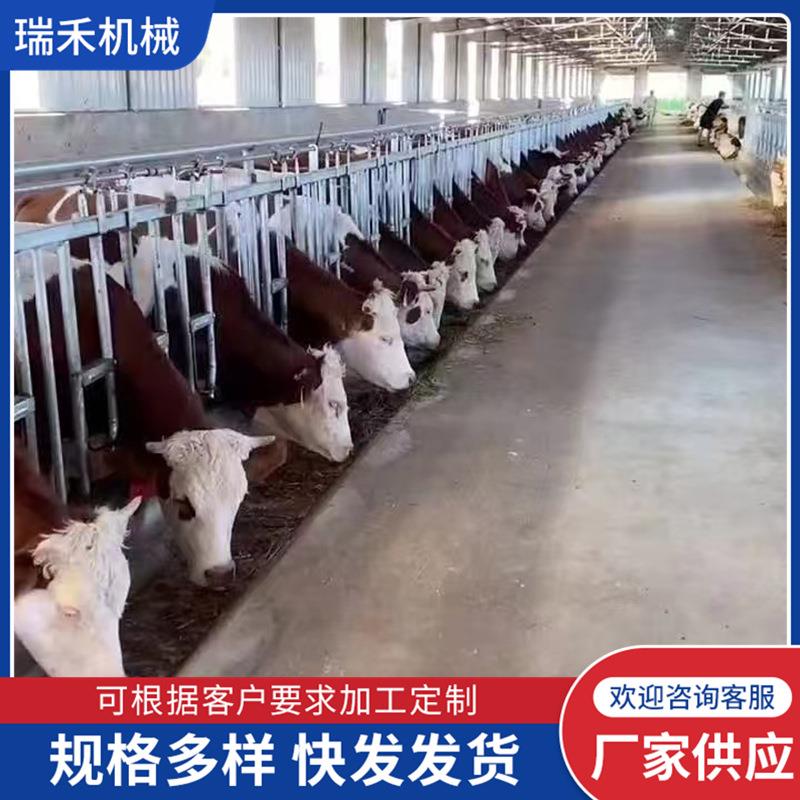 养殖设备牛场用单开双开自锁式牛颈枷750型加厚热镀锌新型牛颈夹