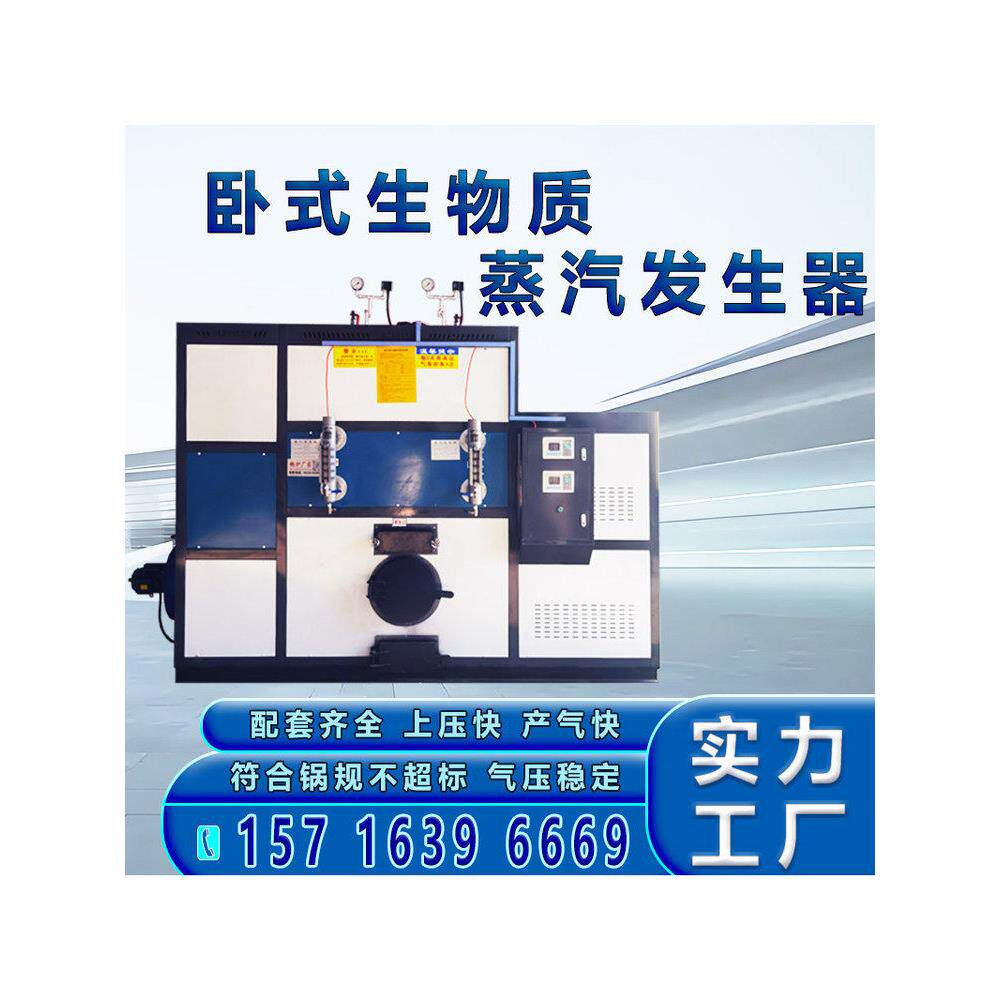 生物质颗粒蒸汽发生器 水容积29L 0.3吨-3吨生物质颗粒蒸汽锅炉