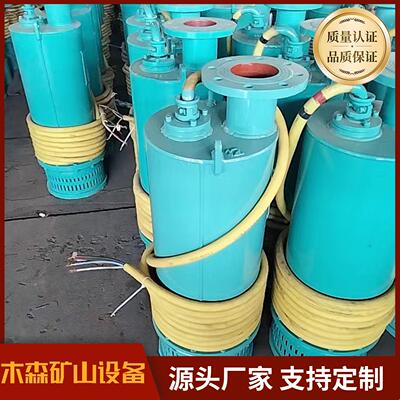 BQS矿用隔爆型潜水排沙电泵 煤矿排水 防爆防震混合污水排污排沙