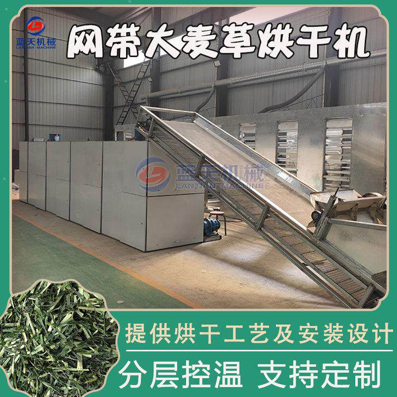大麦草烘干机 全自动连续式大麦苗脱水烘干设备 网带野麦草干燥机