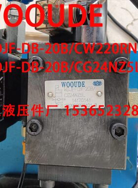 WOOUDE 电磁阀 WDJF-DB-20B/CW220RNZ5L WDJF-DB-20B/CG24NZ5L