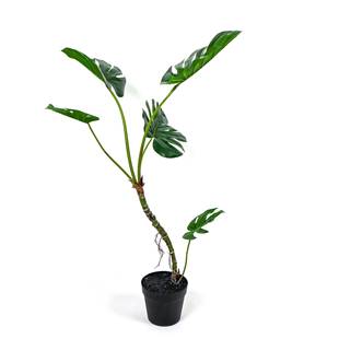 仿真龟背树盆栽客厅旺宅热带绿植摆件大型落地窗造景装饰盆栽现货