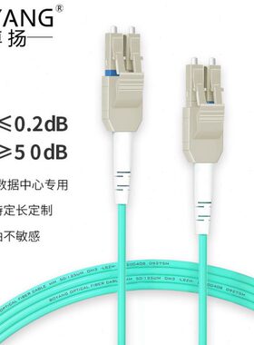博扬 OM3万兆铠装光纤跳线LC-LC 60米 多模尾纤 一管双芯Uniboot
