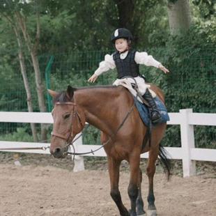 PVC马场护栏草原牧场公园绿化围栏草坪隔离栅栏马场围栏支持