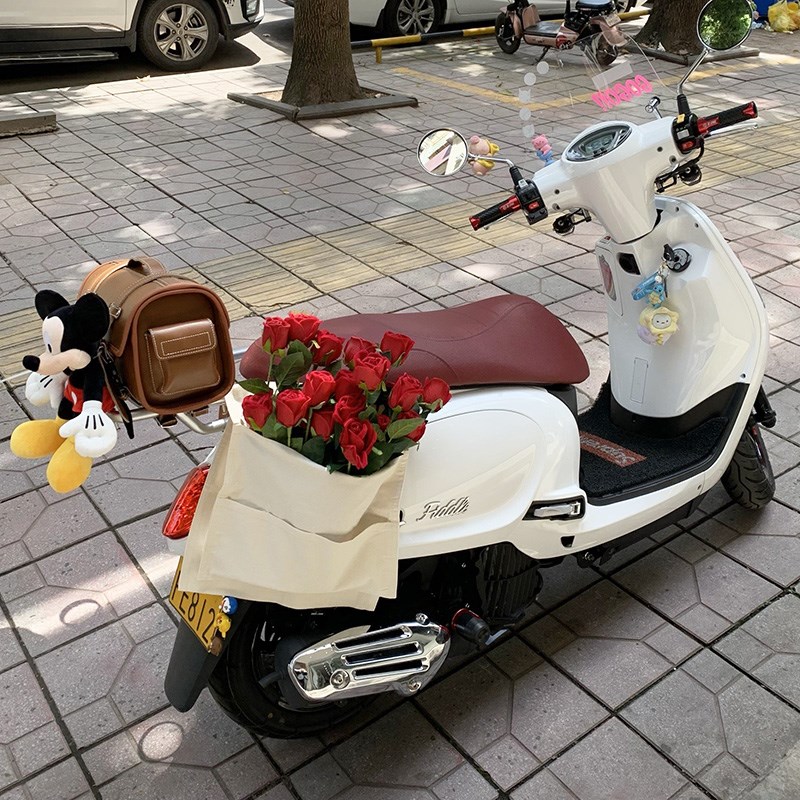 适用踏板摩托车三阳Fiddle飞度4/5货架飞度五后座尾箱包防水改装