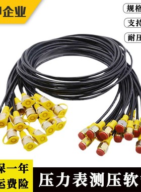 63MPa测压管 压力表测压软管 高压测试管 液压油表连接管仪表线管