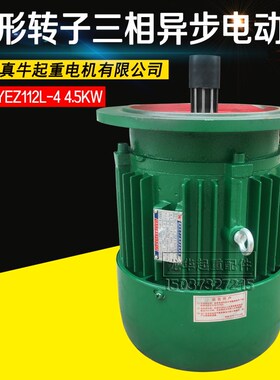真牛电机YEZ112L-4/4.5KW法兰250mm锥形转子三相异步电动机