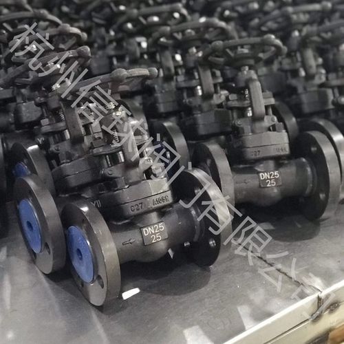 A105锻钢法兰高压高温闸阀JZ41H-16/40/64/100C DN15-50 4分-2寸