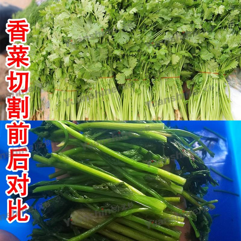 元杉销售多功能双头切菜机切葱花机切姜丝机切蒜瓣机果蔬厨房神器