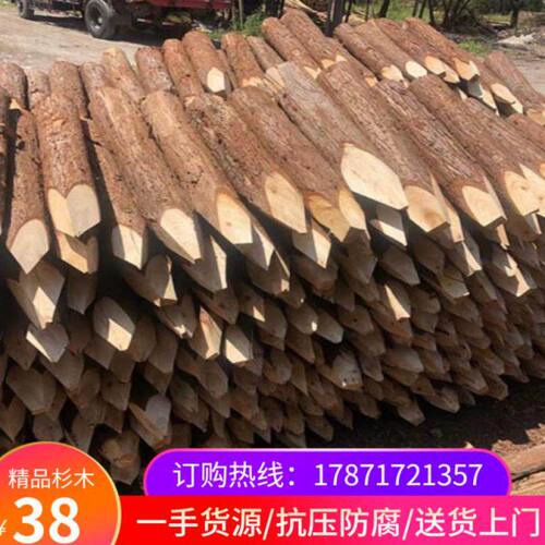 杉木桩可定制4米6米8米河道护岸打桩木精品檩条园林绿化支撑杆